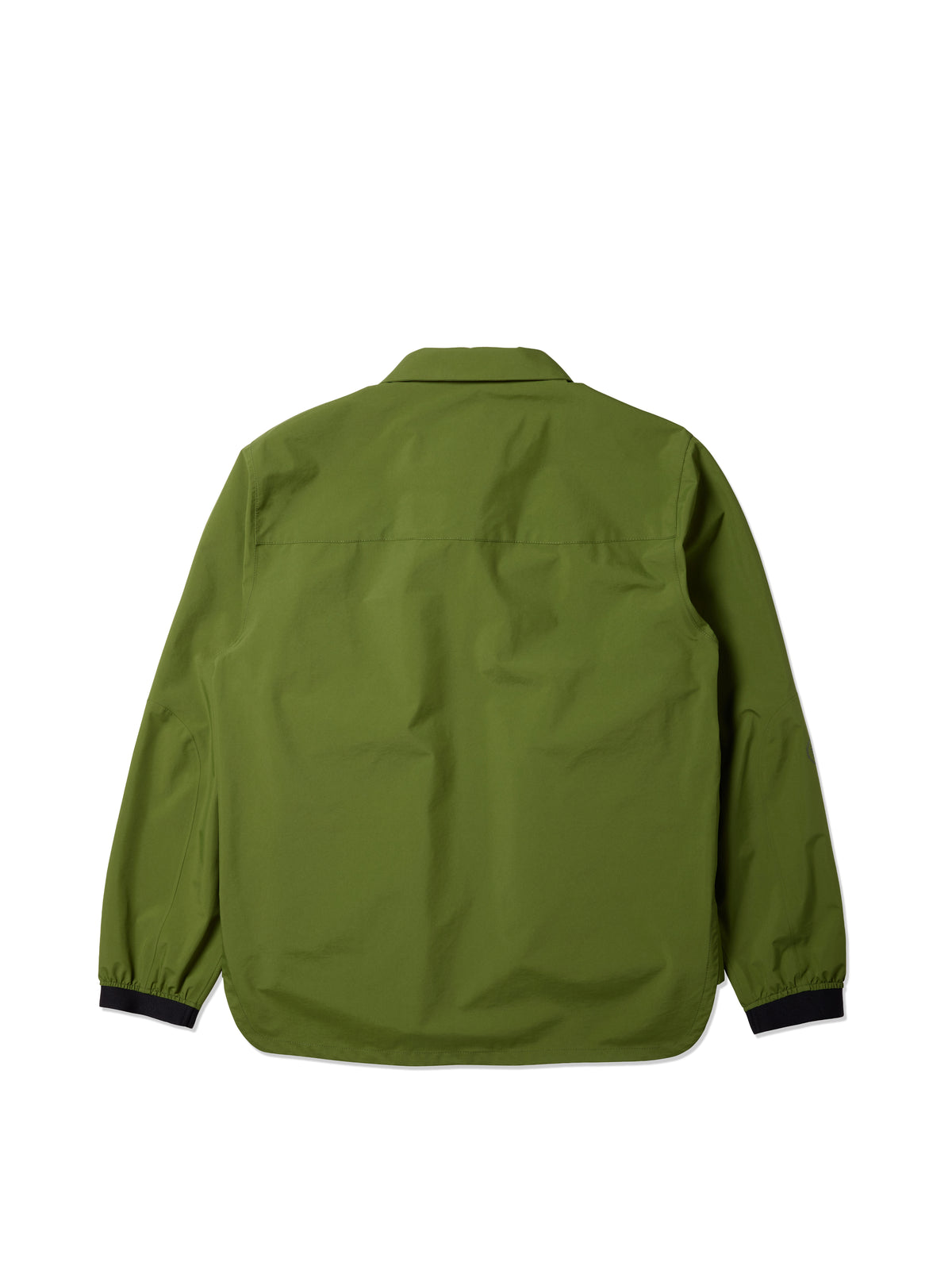 #color_olive