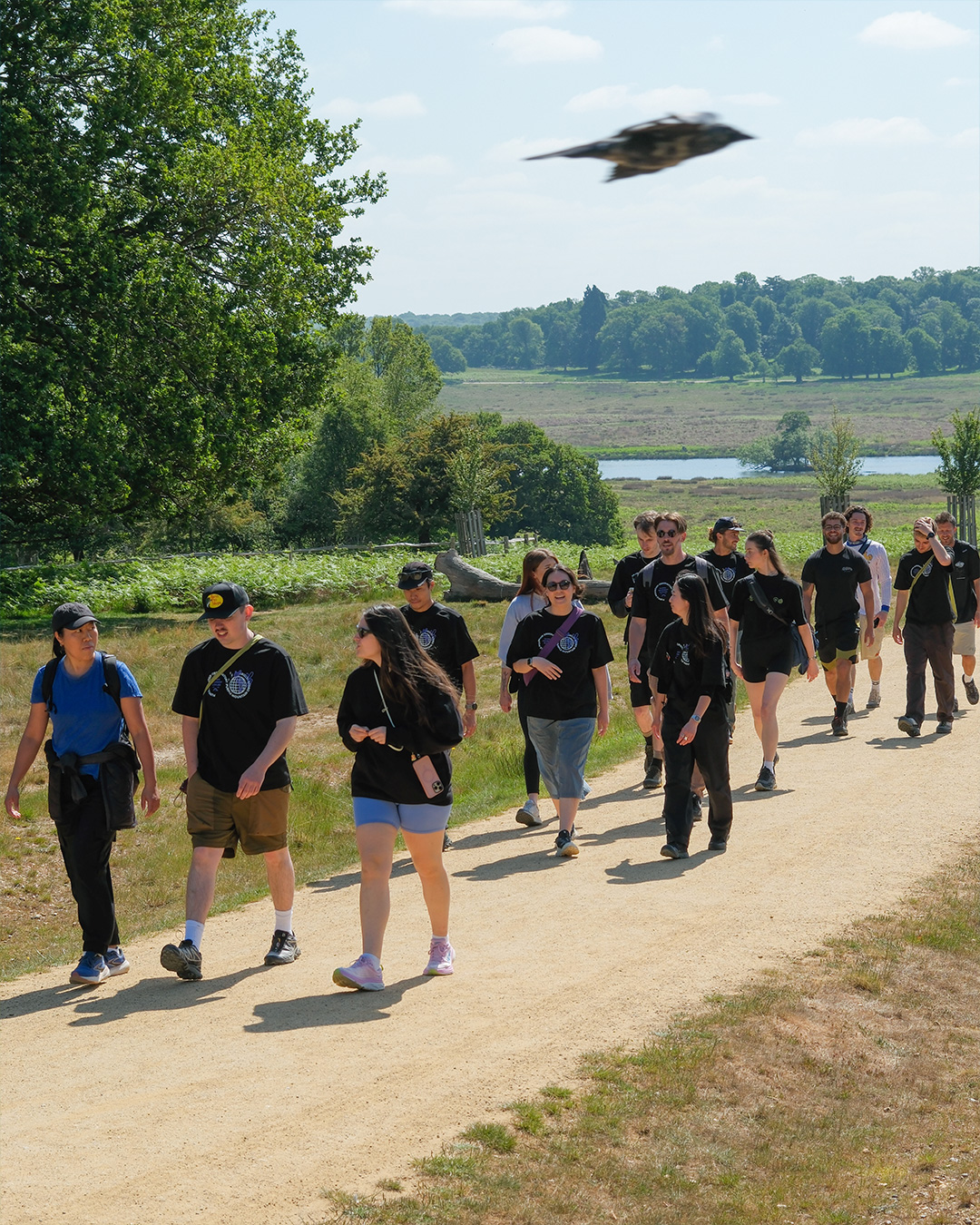 Featured image for “Richmond Park : PMO EXPLORERS 005”